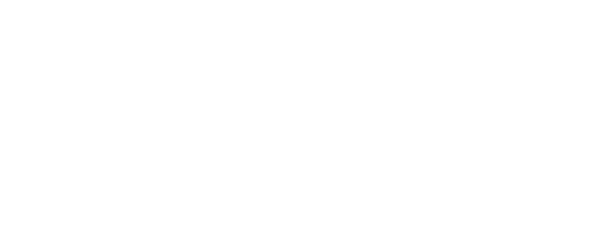 Native American Electric logo